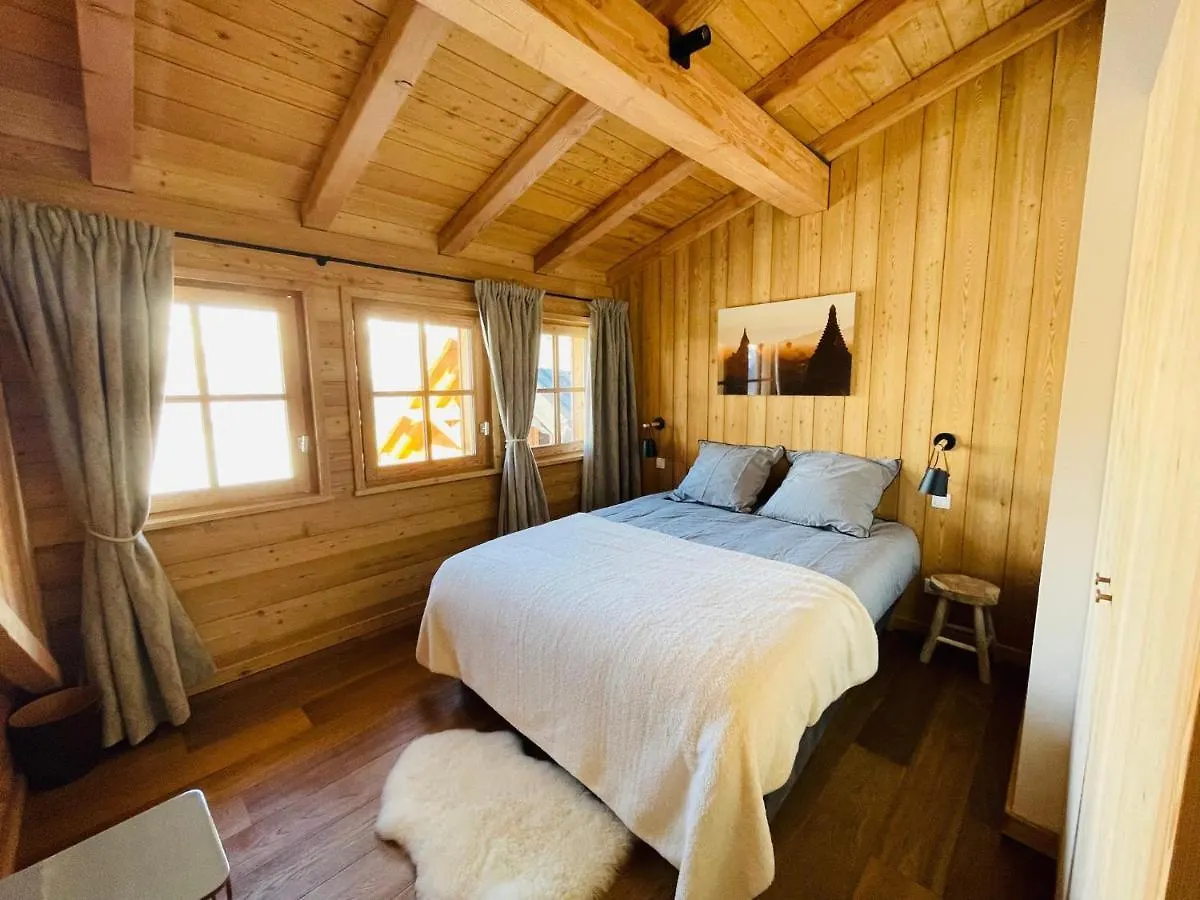 Chalet Le Yeti De Villard 14 Prs - Domaine Alpe D'Huez - Bain Nordique