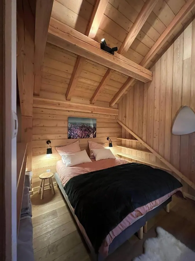 Chalet Le Yeti De Villard 14 Prs - Domaine Alpe D'Huez - Bain Nordique France