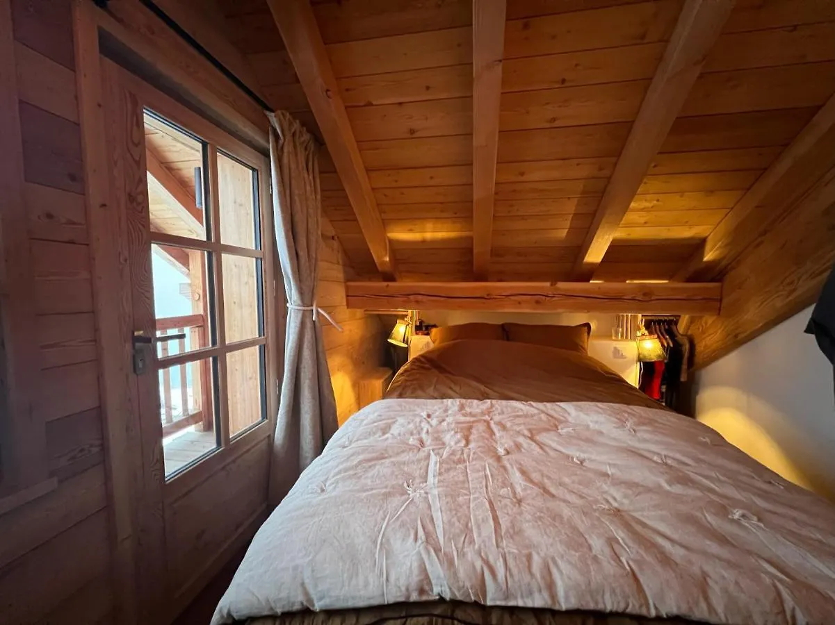 Chalet Le Yeti De Villard 14 Prs - Domaine Alpe D'Huez - Bain Nordique